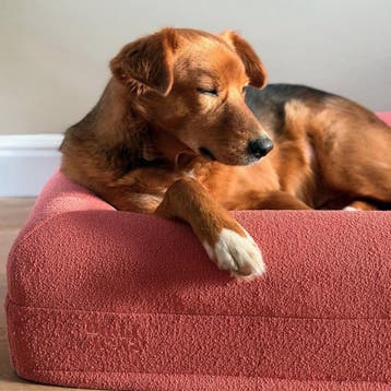 Buddy Beds Bouclé Dusty Pink Hoes – Hondenmand Hoes – Zachte, Ophalen of Verzenden, Zo goed als nieuw