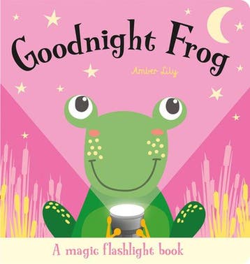 Magic Flashlight Books- Goodnight Frog - Amber Lily, Boeken, Verzenden, Gelezen, Amber Lily