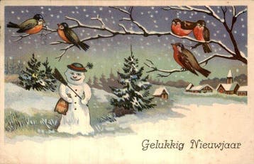 Nieuwjaar - Ansichtkaart (119) - 1900-1999, Verzamelen, Gelopen