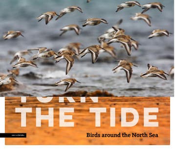 Turn the tide 9789050116978 Sijmen Hendriks, Verzenden, Gelezen, Sijmen Hendriks