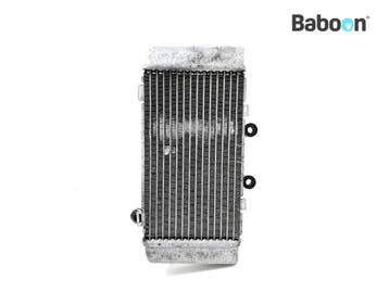 Radiateur Links Honda XL 1000 Varadero 1999-2000 (XL1000V, Motoren, Onderdelen | Honda, Verzenden, Gebruikt