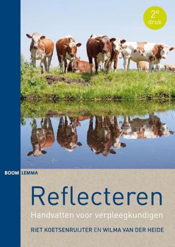 9789462363939 Reflecteren | Tweedehands, Boeken, Verzenden, Zo goed als nieuw, Riet Koetsenruijter