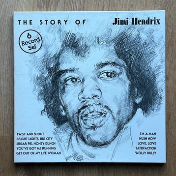 Jimi Hendrix & Related - The Story Of - 6 x LPs - LP Box set, Cd's en Dvd's, Nieuw in verpakking