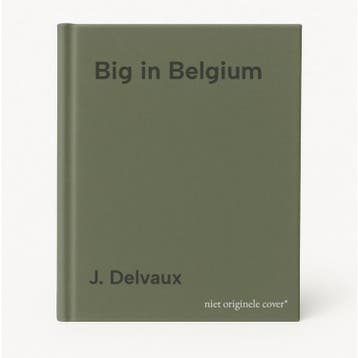 Big in Belgium - J. Delvaux 9789052404493, Verzenden, Gelezen, J. Delvaux