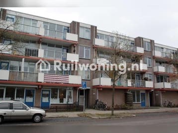 Zwolle flat zoekt woning in Zwolle, Overijssel