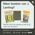 Verrassende effecten door borduren met kraaltjes J. Lanting, Verzenden, Zo goed als nieuw, J. Lanting