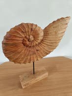 Riverdale Ornament Hout Nate Naturel | 53cm, Ophalen of Verzenden
