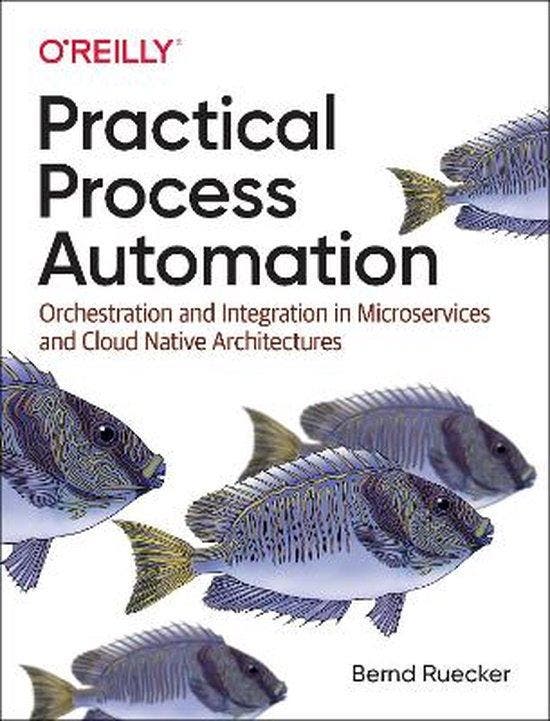 9781492061458 Practical Process Automation | Tweedehands, Boeken, Studieboeken en Cursussen, Zo goed als nieuw, Verzenden
