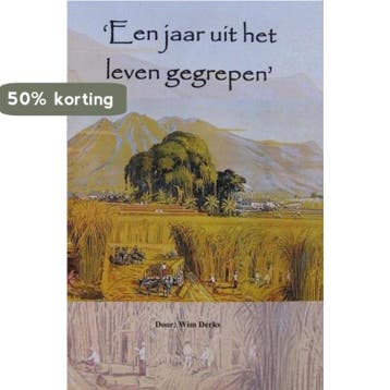 Een jaar uit het leven gegrepen - W. Derks 9789490537074, Verzenden, Zo goed als nieuw, W. Derks