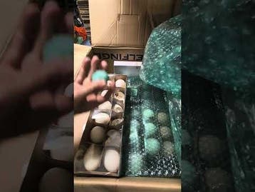 Restantenbox voorjaar eieren, vogels, veren, doos, Ophalen of Verzenden, Nieuw