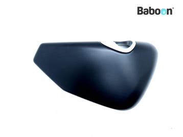 Buddypaneel Rechts Harley-Davidson XL 883 N Sportster Iron, Verzenden, Gebruikt