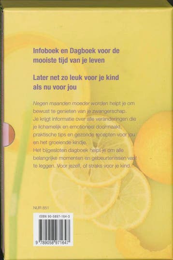 9 maanden moeder worden 9789058971647 L. Cornelissen, Boeken, Zwangerschap en Opvoeding, Verzenden, Gelezen, L. Cornelissen
