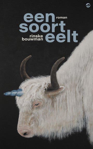 9789083335704 Een soort eelt Rinske Bouwman, Boeken, Verzenden, Nieuw, Rinske Bouwman