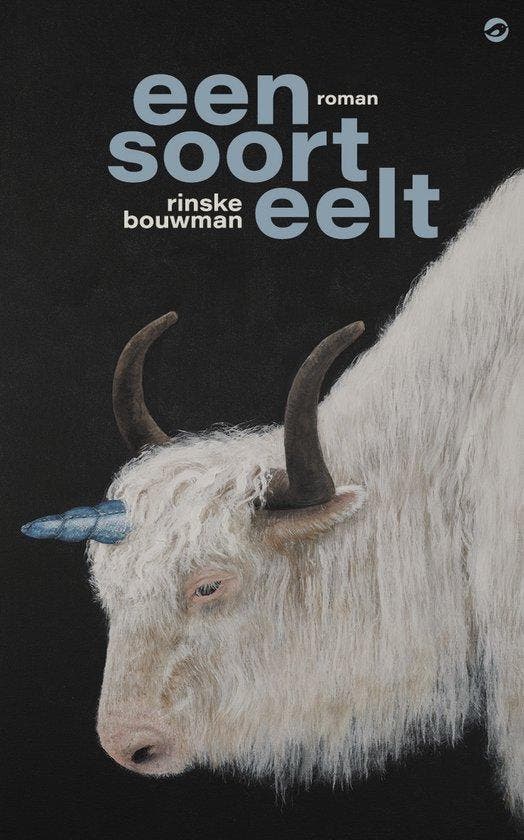 9789083335704 Een soort eelt Rinske Bouwman, Boeken, Romans, Nieuw, Verzenden