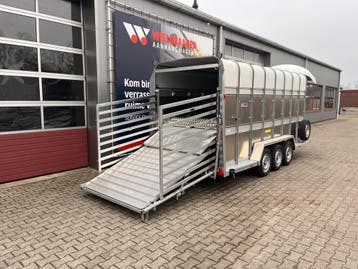Grote dubbeldeks Ifor Williams | 493x178x213 cm - 3500 kg, Nieuw, Aluminium, Overige typen