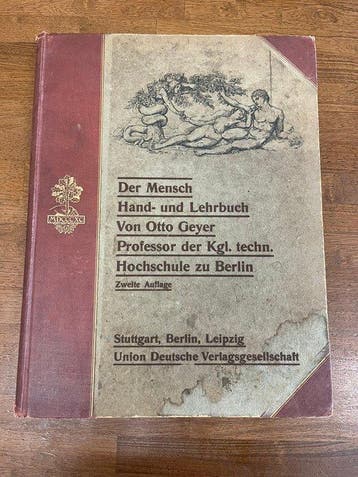 Otto Geyer - Der Mensch. Hand- und Lehrbuch der Anatomie -
