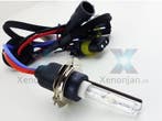 H7 xenon lamp met metalen voet, Verzenden, Nieuw