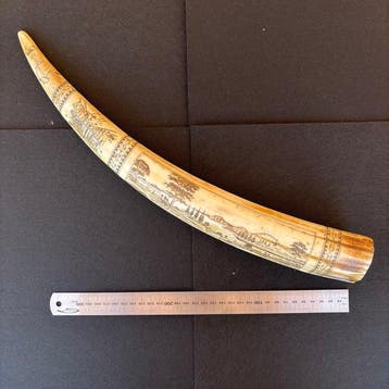 Scrimshaw-Morse citaten Tand - Scrimshaw - 46 cm - 7 cm - 6, Nieuw
