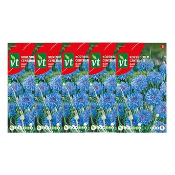 Korenbloemzaad | VT (Blauw) | 5 stuks, Tuin en Terras, Verzenden