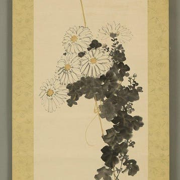 White Chrysanthemum - Ooe Ryoki  (b1874) - Japan (Zonder