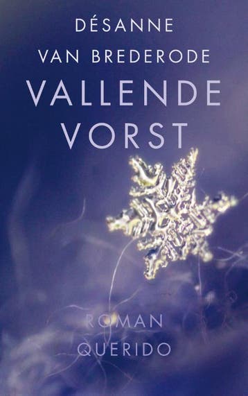 Vallende vorst - Désanne van Brederode 9789021458830, Verzenden, Zo goed als nieuw, Désanne van Brederode