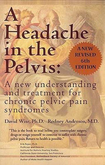 Headache in the Pelvis - David Wise 9780972775557, Verzenden, Zo goed als nieuw, David Wise