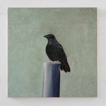 Matthieu van Riel - No Title