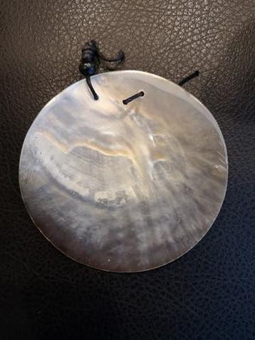 Gepolijst nautilus schelp met gaatje voor hanger of, Ophalen of Verzenden, Nieuw