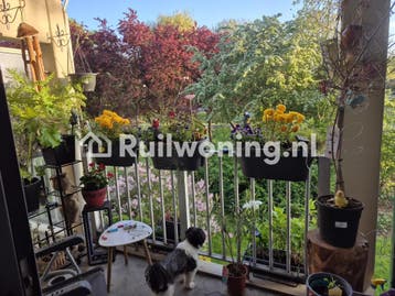 Ruil jouw plek in Wassenaar voor mijn huis in Zoetermeer, Huizen en Kamers, Zuid-Holland