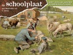 Schoolplaat het volle leven zomerhalfjaar 9789075531633, Boeken, Verzenden, Zo goed als nieuw