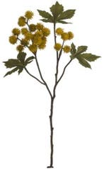 Ricinus castor oil spray dry colour mosterd okergeel zijden, Ophalen of Verzenden, Nieuw