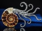 Geen reserveprijs Prachtige ammoniet hanger/broche