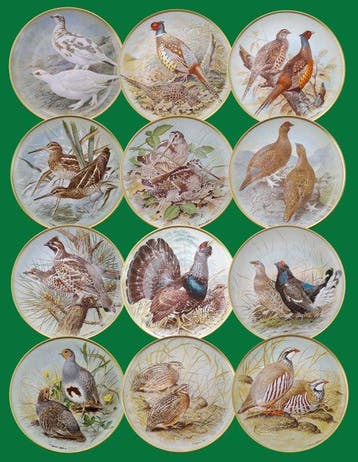 Limoges - Basil Ede - Bord (12) - Porselein - Jachtvogels