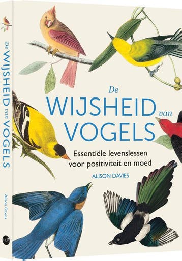 De Wijsheid Van Vogels | Alison Davies | Nieuw, Ophalen of Verzenden, Nieuw, Alison Davies