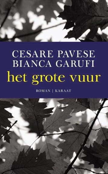 Het grote vuur, Ophalen of Verzenden, Nieuw