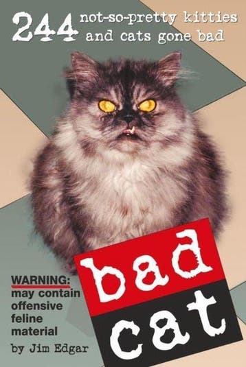 Bad Cat, Ophalen of Verzenden, Nieuw