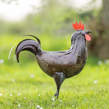 Beeld - metalen haan - mooievogels.nl, Ophalen of Verzenden, Nieuw, Metaal, Dierenbeeld