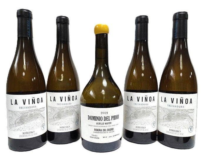2021 Dominio del Pidio Albillo x1 & 2024 La Viñoa,, Verzamelen, Wijnen
