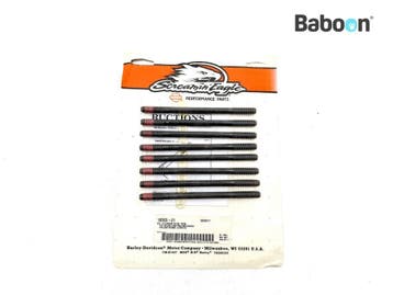 Bouten en Moeren Harley-Davidson Twin Cam 88 Engine Screamin, Verzenden, Gebruikt