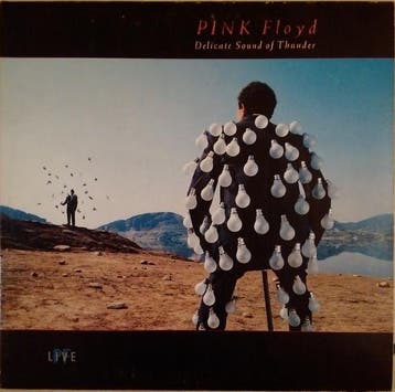 Pink Floyd - Delicate Sound Of Thunder, Ophalen of Verzenden, Gebruikt