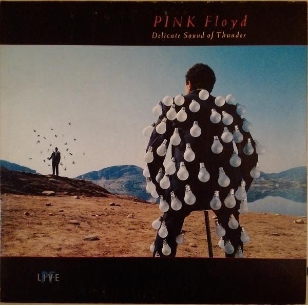 Pink Floyd - Delicate Sound Of Thunder, Cd's en Dvd's, Vinyl | Pop, Gebruikt, Ophalen of Verzenden