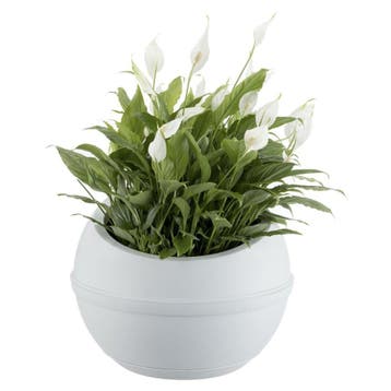 Bama Sfera Bloempot 23L 40.5x32 cm Wit (Overige), Verzenden, Nieuw