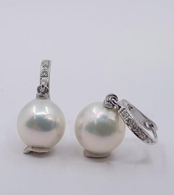 Oorbellen - 14 karaat Witgoud - 0.09ct. tw. - 10x11mm Edison, Nieuw
