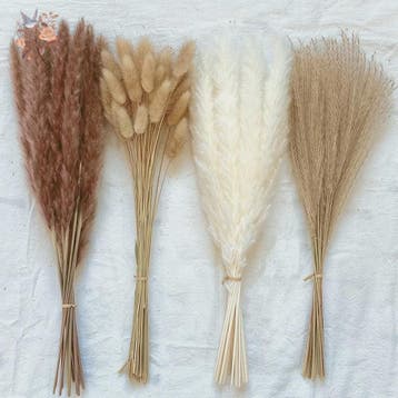 Natuurlijk Pampas Gras Boeket - Gedroogde Bloemen voor Boho, Huis en Inrichting, Verzenden, Nieuw