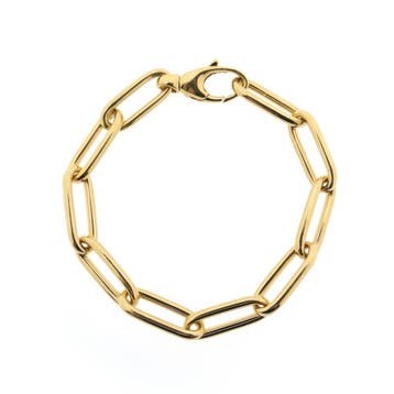 Schaap-/-Citroen gouden anker schakelarmband, Ophalen of Verzenden, Gebruikt, Goud, Goud