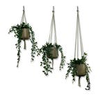 Voordeelset van 3 Plantenhangers - Olijfgroen - 80, 100 en, Ophalen of Verzenden, Nieuw
