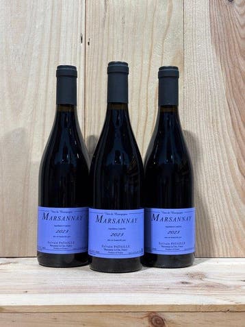 2023 Sylvain Pataille - Marsannay - 3 Flessen (0.75 liter), Nieuw
