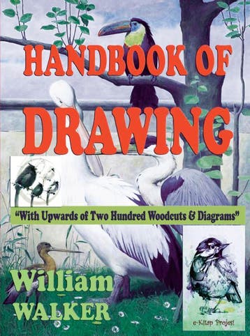 Handbook Of Drawing | William Walker | Nieuw, Boeken, Ophalen of Verzenden, Nieuw, William Walker
