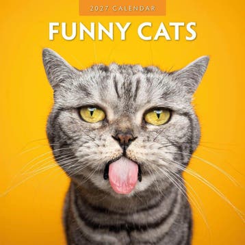 Red Robin Wall Kalender 2027 - Funny Cats, Ophalen of Verzenden, Nieuw in verpakking