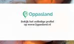 Ik ben Julia, 17 jaar oud en ik zoek oppaswerk in Hilversum.